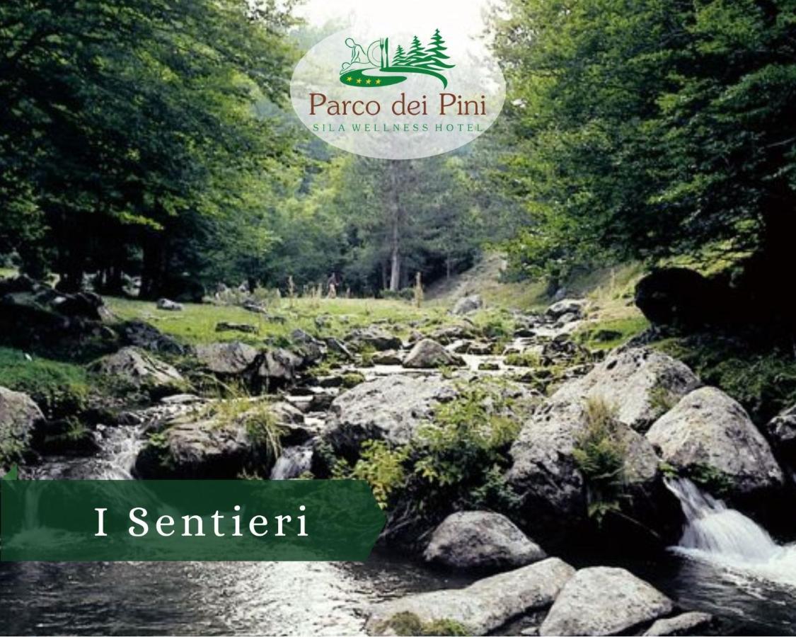 Parco Dei Pini - Sila Wellness Hotel Taverna  Exterior photo