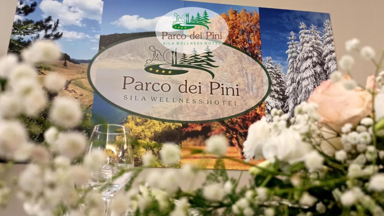 Parco Dei Pini - Sila Wellness Hotel Taverna  Exterior photo